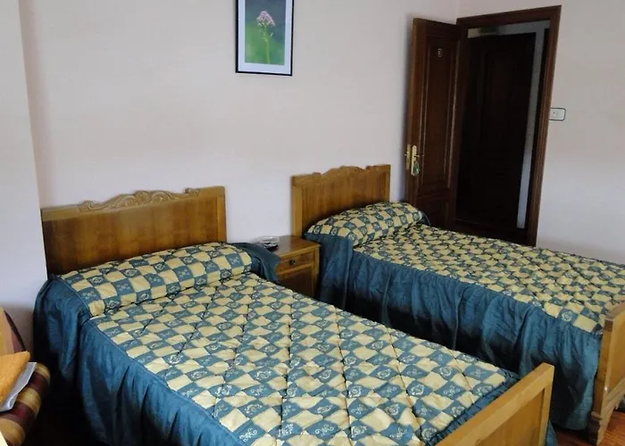 O Paraiso * أرتيكسو